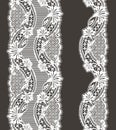 Lace Seamless Pattern. Royalty Free Stock Photo