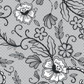 Lace seamless pattern. Vintage lace decorative pattern, embroidered textile floral ornament. Cotton doily vector Royalty Free Stock Photo