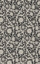 Lace Seamless Pattern. Royalty Free Stock Photo