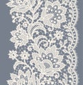 Lace Seamless Pattern. Royalty Free Stock Photo