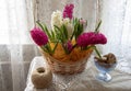 On a lace tablecloth is a basket full of brightly colored hyacinths Royalty Free Stock Photo