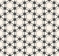 Lace vector texture, subtle seamless pattern, geometric background Royalty Free Stock Photo