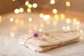 Laced paer handwriten letters with dry flowers over glow lights at background on table in room. Royalty Free Stock Photo