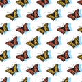 Lacewing Butterfly Harmony Vector Pattern