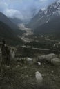 Lachung river flowing through Yumthang Valley or Sikkim Valley of Flowers sanctuary, Himalayan mountains at North Sikkim, India. Royalty Free Stock Photo