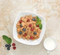 Lackeys oatmeal with berries and milk Royalty Free Stock Photo