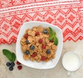 Lackeys oatmeal with berries and milk Royalty Free Stock Photo