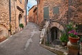 Lacoste, Vaucluse, Provence, France: ancient alley in the old to