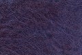 Lacquered dark violet leather texture background, closeup. navy blue backdrop