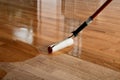 Lacquering wood floors. Worker uses a roller to coating floors Royalty Free Stock Photo