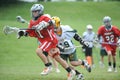 Lacrosse