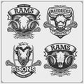 Lacrosse club emblems and labels with bison, bull and ram. Royalty Free Stock Photo