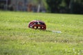 Lacrosse helmet on a grass field , with water bottle.