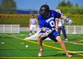 Lacrosse loose ball Royalty Free Stock Photo