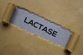 Lactase Text written in torn paper. Medical concept Royalty Free Stock Photo