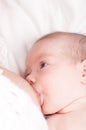 Lactation newborn, newborn breastfeeding Royalty Free Stock Photo