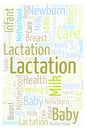 Lactation vertiacl word cloud. Royalty Free Stock Photo