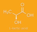 Lactic acid (L-lactic acid) milk sugar molecule. Building block of polylactic acid (PLA) bioplastic. Found in milk. Skeletal Royalty Free Stock Photo