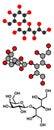 Lactitol sweetener and laxative molecule