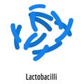 Lactobacilli icon, cartoon style.