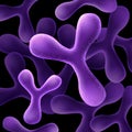 Lactobacillus bifidus bacteria Royalty Free Stock Photo