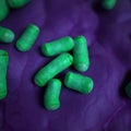 The lactobacillus - close up Royalty Free Stock Photo