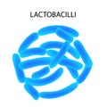 Lactobacillus. Infographics. Vector illustration on isolated background. Royalty Free Stock Photo
