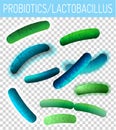 Lactobacillus Probiotics Image Royalty Free Stock Photo