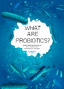 Lactobacillus Probiotics Poster