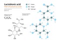 Lactobionic acid. PHA Polyhydroxy acid. Structural chemical formula and molecule 3d model. Atoms with color coding. Vector