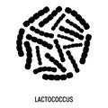 Lactococcus Icon. Probiotic Concept Logo and Label. Health Research Symbol, Icon and Badge. Simple and Black Vector illustration