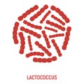 Lactococcus Icon. Probiotic Concept Logo and Label. Health Research Symbol, Icon and Badge. Cartoon Vector illustration
