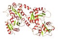Lactoferrin protein. Lactoferrin is an iron-binding protein that is part of the innate immune system. It is involved in the Royalty Free Stock Photo