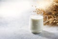 Lactose-free oat milk in a glass cup on a light background. Allergic food concept