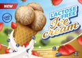 Lactose, Gluten and GMO Free Ice Cream Banner