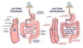 Lactose intolerance and tolerance medical process differences outline diagram