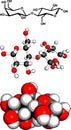 Lactose (milk sugar) molecule