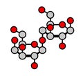 Lactose milk sugar molecule, Haworth-like projection