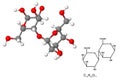 Lactose molecule