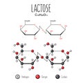 Lactose skeletal and flat representation. Royalty Free Stock Photo
