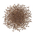 Lactuca sativa var seed