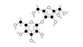 lactulose molecule, structural chemical formula, ball-and-stick model, isolated image non-absorbable sugar