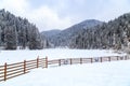 Lacu Rosu in Harghita, Romania, under the snow on winter day Royalty Free Stock Photo