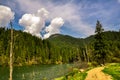 Lacul Rosu, mountain lake in deep forest Royalty Free Stock Photo