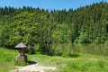 Lacul Rosu - The Red Lake in Romania Royalty Free Stock Photo