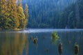 Lacul Rosu - Red Lake in a summer morning sunrise, the Carpathians, Romania