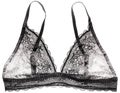 Lacy bra isolated Royalty Free Stock Photo