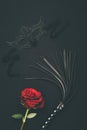 Lacy mask and black whip with rose flower Royalty Free Stock Photo