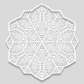 Lacy paper doily, decorative flower, decorative snowflake Royalty Free Stock Photo