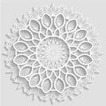 Lacy paper doily, decorative flower, decorative snowflake Royalty Free Stock Photo